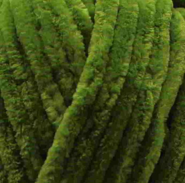 Chenille Baby - 100-69 - 100g